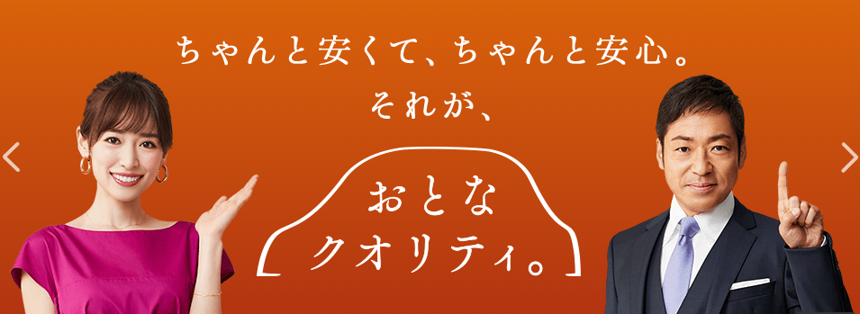 おとなの自動車保険